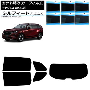 J[tB }c_ CX-80 KLn 2024N10` AZbg(1^) VtB[h Iׂ6tBJ[ AP-WFSC0471-RDR1 Car film