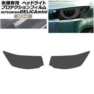veNVtB wbhCg OH fJ~j B30n 2023N05` X[N F1Zbg(E) AP-PFHL0102-SM01 protection film headlights