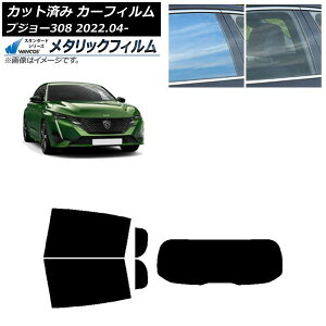 J[tB vW[ 308 P51/52n 2022N04` AZbg(1^) WINCOS ^bN SL18 AP-WFWM0442-RDR1 Car film