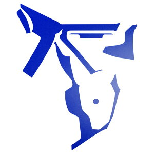 �Z���^�[�R���\�[���X�e�b�J�[ �g���^ �X�[�v�� DB06 MT�ԗp RZ 2019�N05���` �}�b�g�� �F�O���[�v2 AP-PA2CFMT0004 Center console sticker