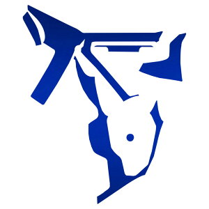 �Z���^�[�R���\�[���X�e�b�J�[ �g���^ �X�[�v�� DB06 MT�ԗp RZ 2019�N05���` �}�b�g�N���[���� �I�ׂ�20�J���[ AP-PA2MTCR0004 Center console sticker