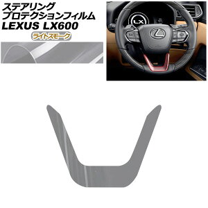 �v���e�N�V�����t�B���� �X�e�A�����O�p ���N�T�X LX VJA310W 2022�N01���` ���C�g�X���[�N AP-PA0044-LSM01