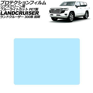 �v���e�N�V�����t�B���� ���A�X�N���[���p �g���^ �����h�N���[�U�[ 300�n �O�� 2021�N08���`2025�N02�� �u���[���C�g�J�b�g PET�� 11.6�C���` �����F1�� AP-IT3865-PET-BL Protection film for rear screen