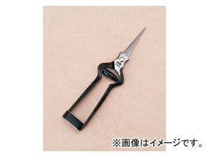 ѐ zH ŕ VmMt K-3 Born with buds