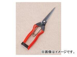 ѐ zH  J-12 Fruit and vegetable scissors