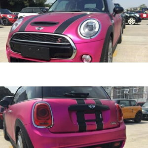 1Zbg ~j/MINIiBMWj N[p[ S R55 R56 R57 R58 R59 R60 R61 F54 F56 F57 F60 {fB Lbg XebJ[  Jt ^Cv001`^Cv011 AL-II-0396 AL Exterior parts for cars