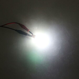 2s[X T10 W5W LED p[LO Cg CAN-BUS 3030 WY5W 168 501 I[g EFbW TCh }[J[ ou CeA [h h[ v T10 zCg AL-KK-6779 AL Light lamp for car