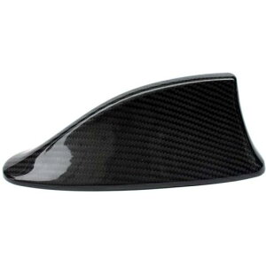 Kp: 5V[Y F10 F11 F18 2010-2017 Aei V[N tB Jo[ g J[{t@Co[ X^C ABS ANZT[ AL-NN-8627 AL Exterior parts for cars