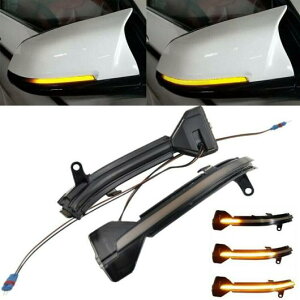 2PC LED �_�C�i�~�b�N �E�C���J�[ �E�C���J�[ ����� ���C�g �K�p: BMW 5 6 7�V���[�Y F10 F11 F07 F06 LED �~���[ ���C�g AL-SS-0524 AL Car parts