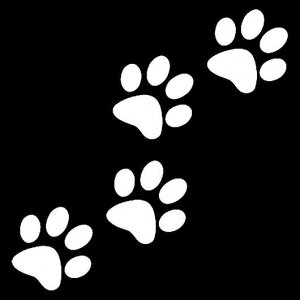 1s[X 12.8 X 5.5 CM ybg PAW p^[ AEghA  I[goC {fB/op[/t[h/fJ[ EChE/ XebJ[ ubNEzCg AL-RR-4254 AL Exterior parts for cars