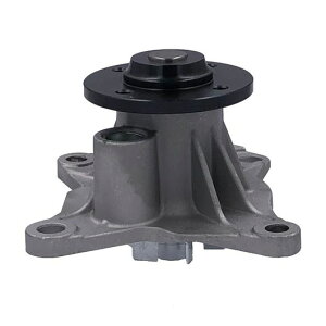 �E�H�[�^�[ �|���v �A�Z���u�� �K�p: BYD F0 2008 1.0L F3DM �G���W�� ��p �V�X�e�� SR-AA-6575 Car parts