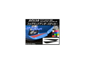 tHOvA_[XebJ[ J[{ g^ ANA NHP10 O 2011N12`2014N11 Iׂ20J[ F1Zbg(2) AP-CF531