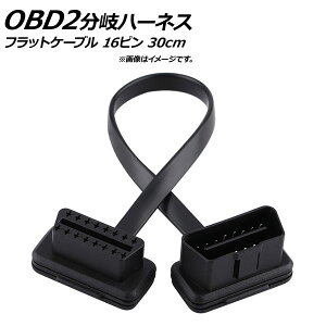AP OBD2 P[u 30cm tbgP[u L^RlN^[ IX16s-X16s AP-EC188-30CM extension cable