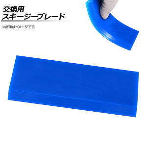 AP p XL[W[u[h Su[h AP-TS012 Exchange skiing blade