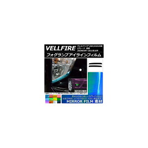 tHOvACCtB ~[^Cv g^ Ft@CA ANH/GGH20n ZO[h O Iׂ12J[ F1Zbg(2) AP-YLMI197