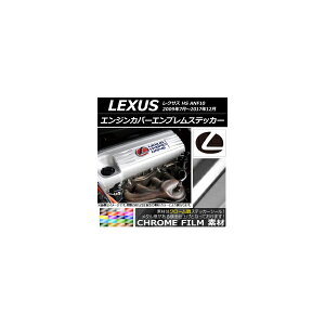 GWJo[GuXebJ[ N[ NTX HS ANF10 2009N07`2017N12 Iׂ20J[ AP-CRM2654