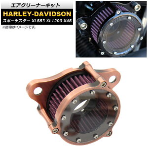 GAN[i[Lbg n[[_rbh\ X|[cX^[ XL883 XL1200 X48 AP-2A009 2 Air cleaner kit