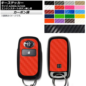 L[XebJ[ J[{ g^ CY A200A,A210A 2019N11` Iׂ20J[ AP-CF4028