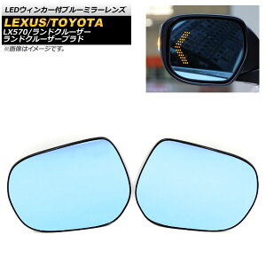 LEDEBJ[tu[~[Y g^ hN[U[vh 150n 2009N09` F1Zbg(E) Blue mirror lens with blinker