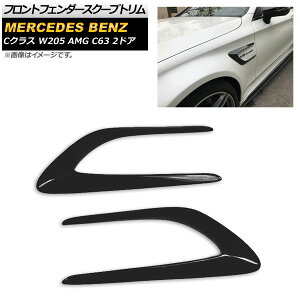tgtF_[XN[vg ZfXExc CNX W205 AMG C63 2hA 2015N`2017N ubN FRP AP-XT501-BK F1Zbg(E) Front fender scoop trim