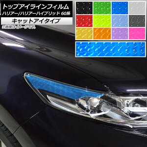 gbvACCtB LbgAC^Cv g^ nA[/nA[nCubh 60n Iׂ12J[ F1Zbg(2) AP-YLCT244