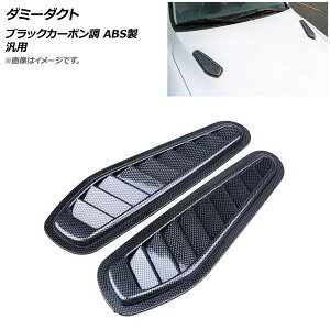 AP _~[_Ng ubNJ[{ ABS ėp AP-XT559-BKC F1Zbg(E) Dummy duct