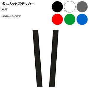 AP {lbgXebJ[ ėp Iׂ6J[ AP-XT565-C F1Zbg(2) Bonnet sticker