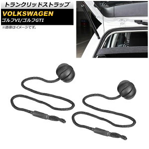 gNbhXgbv tHNX[Q StGTI 2013N` ubN F1Zbg(2) Trancrid strap