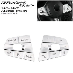 AP XeAOzC[{^Jo[ Vo[ A^Cv A~ BMW ėp AP-IT1546-SI F1Zbg(11) Steering wheel button cover