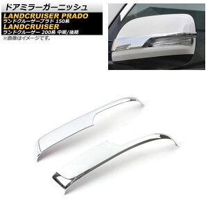 hA~[K[jbV g^ hN[U[vh 150n 2009N09` ʃVo[ ABS F1Zbg(E) Door mirror garnish