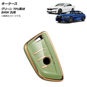 AP L[P[X O[ TPUf BMW ėp AP-AS624-GR key case