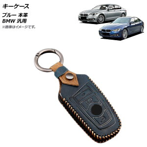 AP �L�[�P�[�X �u���[ �{�v BMW �ėp AP-AS635-BL key case