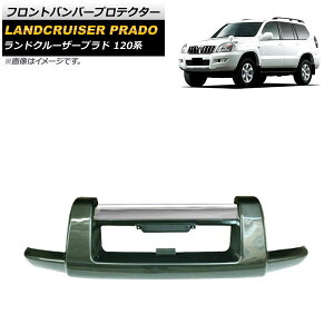 tgop[veN^[ g^ hN[U[vh 120n 2002N10`2009N08 O[ ABS AP-XT1692-GR Front bumper protector