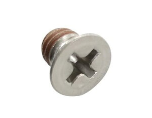 �V�������� �⏕��t�l�W �G���A���O���⏕�t�p 84231 JAN�F4960910842311 Subsidy board mounting screw lubeous auxiliary plate