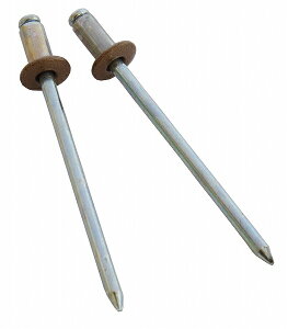 �V�����@ SK �J���[�u���C���h���x�b�g ������ (4-2) SK-423LB �����F1�Z�b�g(20�{��) Color blind tribet