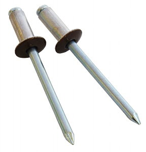 �V�����@ SK �J���[�u���C���h���x�b�g ������ (6-4) SK-640DB �����F1�Z�b�g(20�{��) Color blind tribet