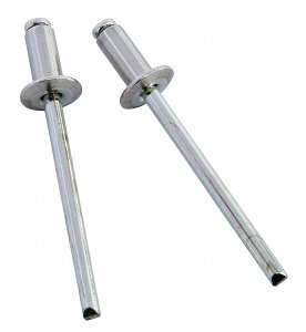 �V�����@ SK �u���C���h���x�b�g �� 5-3 DAS5-3 �����F1�Z�b�g(700��) Blind rivet
