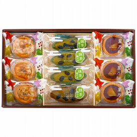 井桁堂 和菓子 スイーツ詰合せ 菓乃和 中 42(2195-053) Japanese confectionery sweets assorted