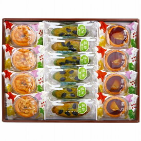 井桁堂 和菓子 スイーツ詰合せ 菓乃和 大 43(2195-065) Japanese confectionery sweets assorted