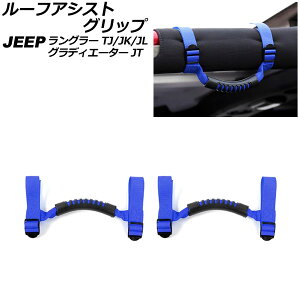 [tAVXgObv W[v OfBG[^[ JT 2021N11` u[ IbNXtH[hf/ABS F1Zbg(2) Roof Ast grip