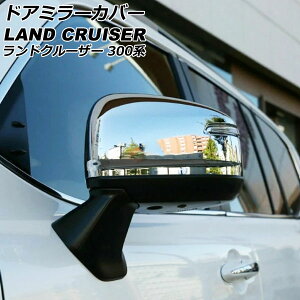 hA~[Jo[ g^ hN[U[ FJA300W/VJA300W 2021N08` ʃVo[ ABS F1Zbg(E) AP-DM272-KSI