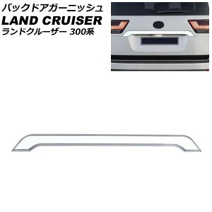 obNhAK[jbV g^ hN[U[ FJA300W/VJA300W 2021N08` Vo[ ABS AP-XT2156-SI