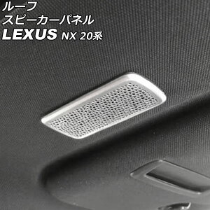 [tXs[J[pl NTX NX250/NX350/NX350h/NX450h+ 20n 2021N11` Vo[ XeX F1Zbg(2) AP-IT2879-SI