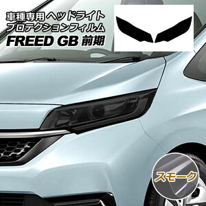 �v���e�N�V�����t�B���� �w�b�h���C�g �z���_ �t���[�h GB5,GB6/GB7,GB8 �O�� 2016�N09���`2019�N09�� �X���[�N �����F1�Z�b�g(���E) AP-PFHL0003-SM01