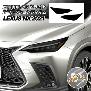 veNVtB wbhCg NTX NX250/NX350/NX350h/NX450h+ 20n 2022N11` CgX[N F1Zbg(E) AP-PFHL0037-LSM01 protection film headlights
