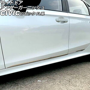 TChhAA_[K[jbV z_ VrbN FL1 2021N09` Vo[ XeX F1Zbg(4) AP-XT2229 Side door Ander Garnish