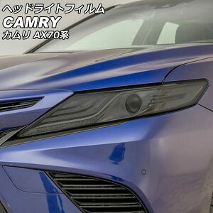 wbhCgtB g^ J AX70n(AXVH70/AXVH75) 2017N07` X[N TPU F1Zbg(E) AP-XT2239-SM