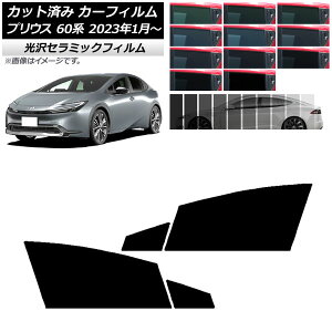 J[tB g^ vEX 60n (ZVW60,65/MXWH60,65,61) 2023N01` tghAZbg IR UV fM Iׂ13tBJ[ AP-WFIR0402-FD Car film