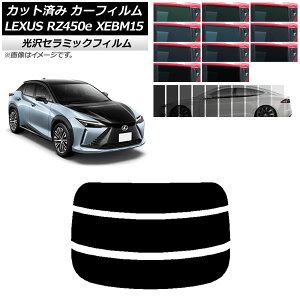 J[tB NTX RZ450e XEBM15 2023N03` AKX() IR UV fM Iׂ13tBJ[ AP-WFIR0407-R3 Car film