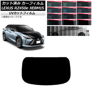J[tB NTX RZ450e XEBM15 2023N03` AKX(1^) SK UV Iׂ13tBJ[ AP-WFSK0407-R1 Car film